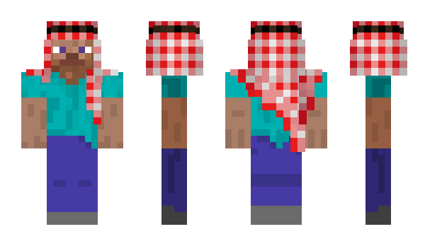 Minecraft skin QG10