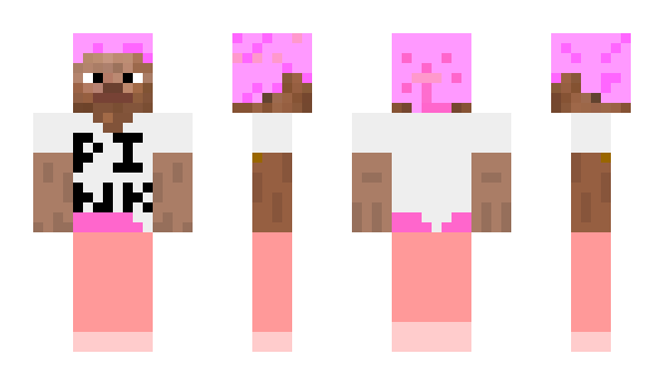 Minecraft skin InStone