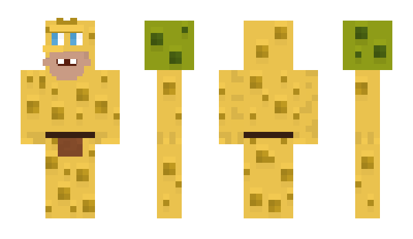 Minecraft skin R1G