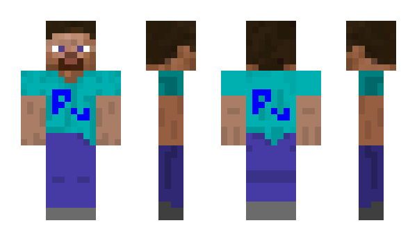 Minecraft skin poou