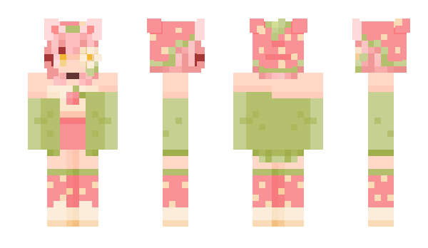 Minecraft skin Nasina