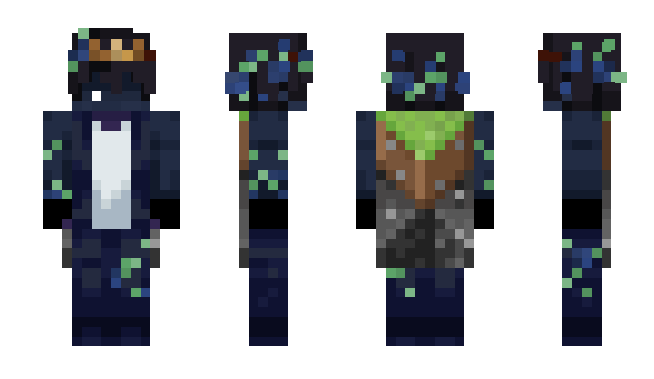 Minecraft skin Verz2