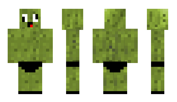 Minecraft skin Pickles420