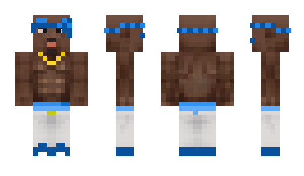 Minecraft skin Pmla