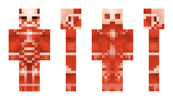 Minecraft skin RedTurtle_