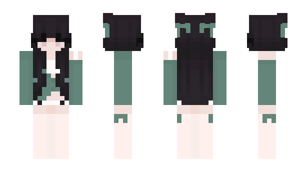 Minecraft skin Swgi