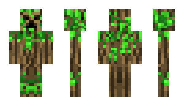 Minecraft skin rishigamer