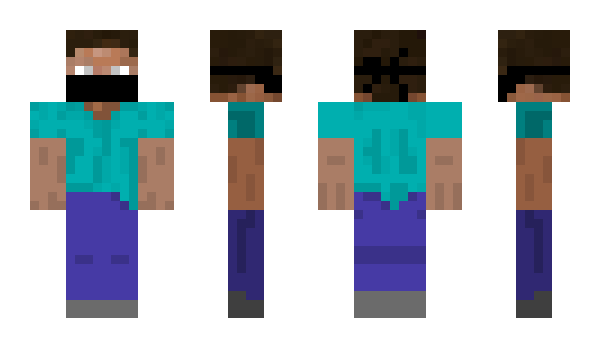 Minecraft skin inhis
