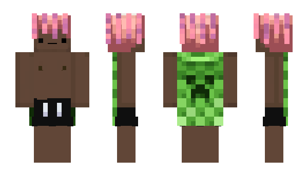 Minecraft skin Kerwinn