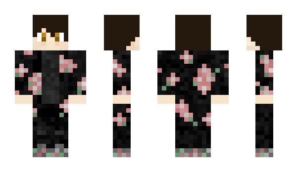 Minecraft skin andour
