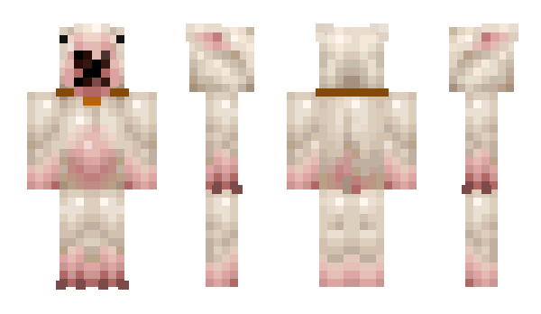 Minecraft skin bigpuppy17