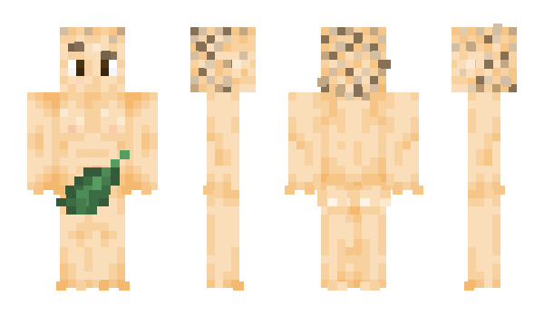 Minecraft skin 112324
