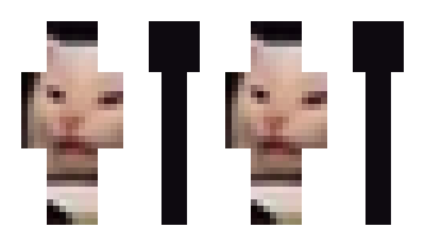 Minecraft skin voisona