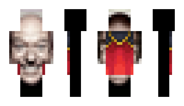 Minecraft skin hawcam