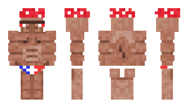 Minecraft skin AMinorISwear