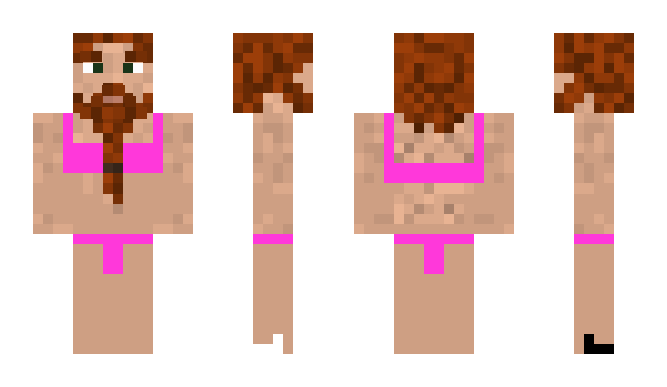 Minecraft skin faglordishere