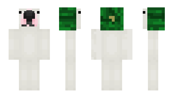 Minecraft skin Heali