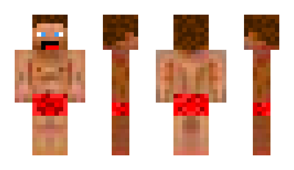 Minecraft skin Haders
