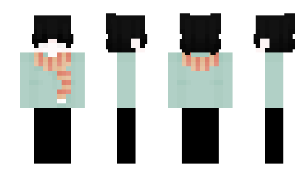 Minecraft skin LBVC