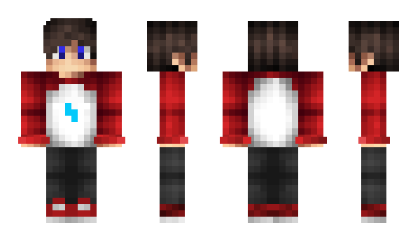 Minecraft skin RAILD