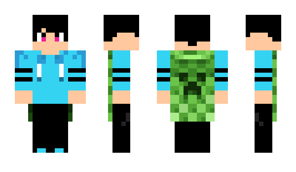 Minecraft skin ANKITS