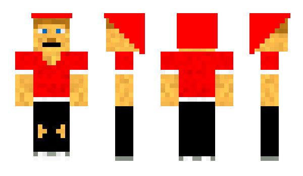 Minecraft skin N6D