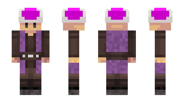Minecraft скін по ніку Skizze
