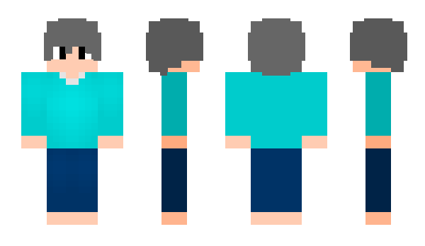 Minecraft skin Oerry