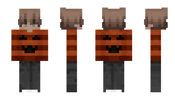 Minecraft skin Animatium