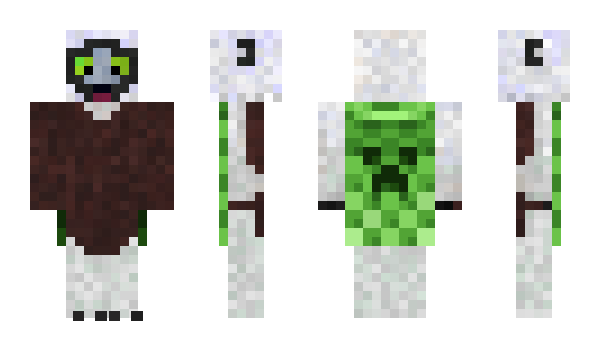 Minecraft skin NameCilgin