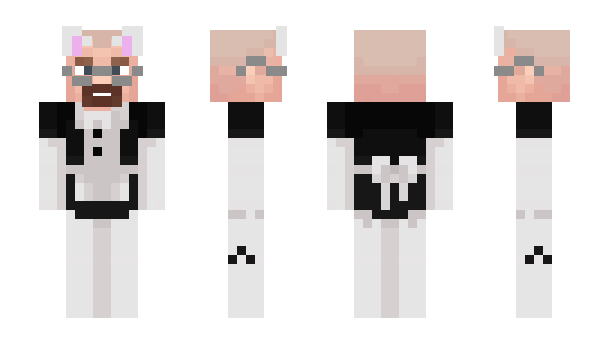 Minecraft skin AustenAnns