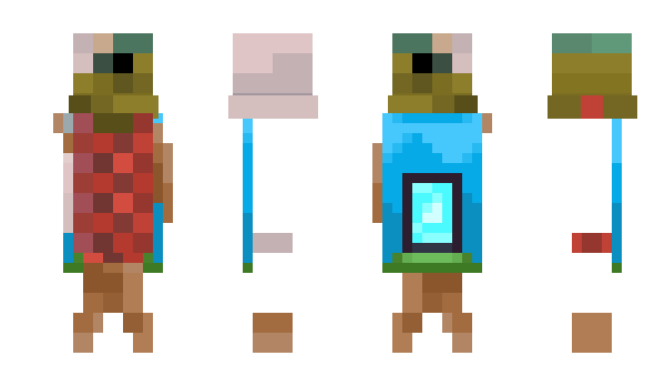 Minecraft skin Salmonmaster30