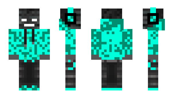 Minecraft skin Haxus