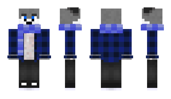 Minecraft skin coollo