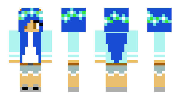 Minecraft skin Palexi