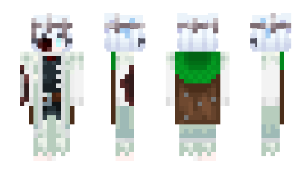 Minecraft скін по ніку Holy_Marie