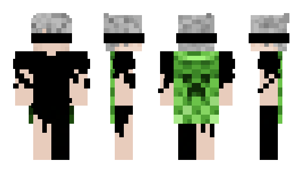 Minecraft skin TIGERCHEN_2011