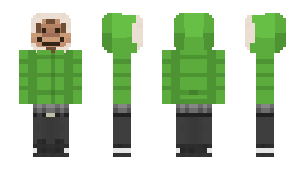 Minecraft skin Biped