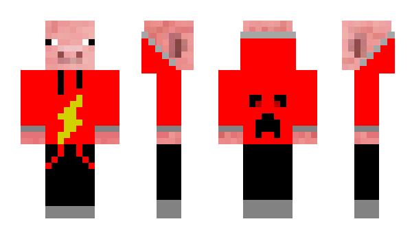 Minecraft skin Parass