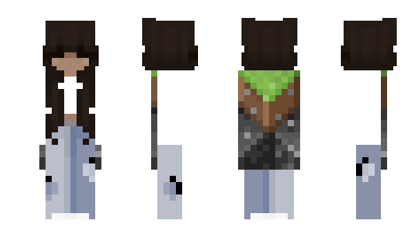 Minecraft skin notjels