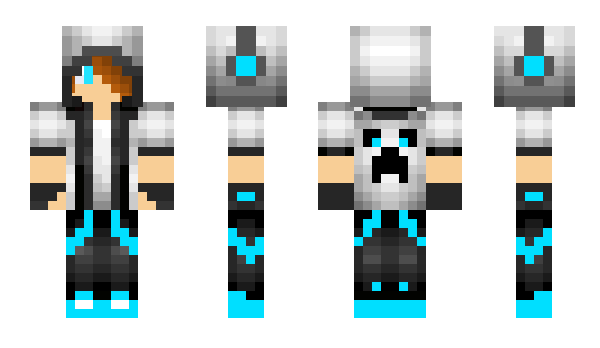 Minecraft skin Vollasidalle