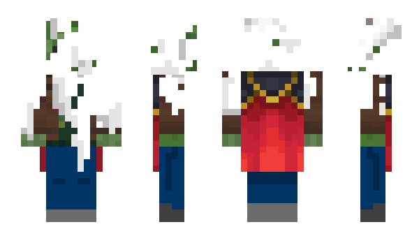Minecraft скин по нику BirdPoopiest