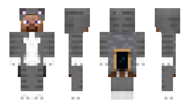 Minecraft skin Case0h