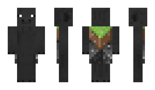 Minecraft skin LOLpigga