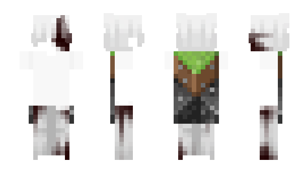 Minecraft скин по нику 1mentalasylum