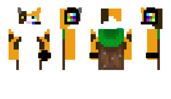Minecraft skin CatGamerMC