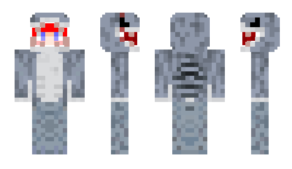 Minecraft skin Hocy