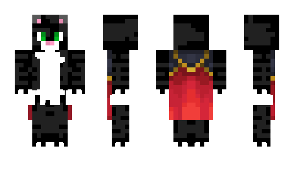Minecraft skin dxdgell04