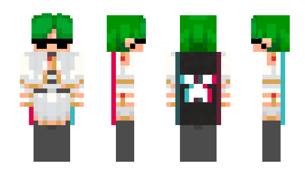 Minecraft skin povesa