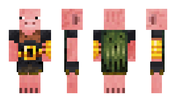 Minecraft skin Hogquest